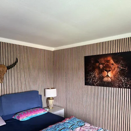 Large House In A Quiet Location شقة *